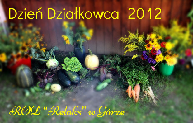 Dzień Działkowca